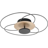 HighLight LED-taklampa Fiore, 2 700 K, svart/guld