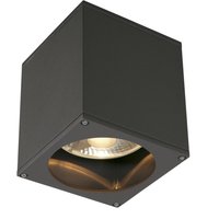 SLV Big Theo outdoor ceiling light, anthracite
