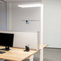 Lampadaire de bureau LED MAULjura, blanc, aluminium, 196,5 cm, 4000 K