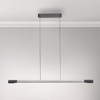 Paul Neuhaus LED-hänglampa Hoop, aluminiumfärgad, 128 cm, dimbar