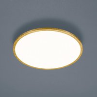 Helestra Rack LED ceiling lamp dim round gold