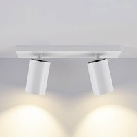 Deko-Light CAN TILT downlight, white, 31 x 9 cm, 2-bulb, metal GU10