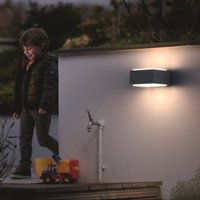 Philips Hedgehog outdoor wall light, anthracite, pack of 2