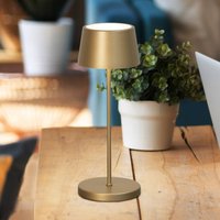 FH Lighting Asena Pro LED rechargeable table lamp, bronze-coloured, 30 cm, metal, IP54