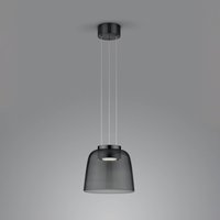 Helestra Oda hanging light, black, glass