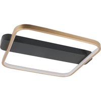 HighLight LED-taklampa Ascona, svart/guld, 28 W