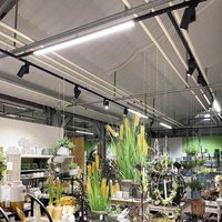 Deko-Light Lampe LED sur rail LINEAR PRO noir 930 60 cm triphasée DALI