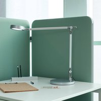 MAULgrace LED-bordslampa, silverfärgad, 37 cm, dimbar, CCT