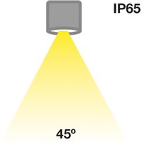 The Light Group SLC MiniOne Fixed LED downlight IP65 black 927