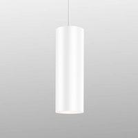 Wever & Ducré Lighting WEVER & DUCRÉ Ray 2.0 PAR16 hanging light white/white