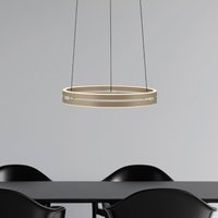 PURE LED pendant light E-Loop, bronze, Ø 50 cm, aluminium CCT