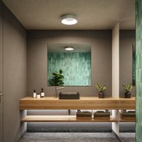 Plafonnier LED Paulmann HomeSpa Casca, blanc/aluminium, IP44