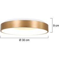 Steinhauer LED-taklampa Ringlede 2 700 K Ø 30 cm guld