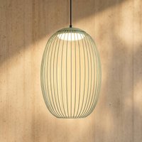 Lucande Richi LED outdoor hanging light, green, 40 cm, dimmable