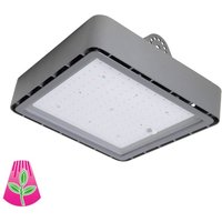 Bioledex Plantlampa GoLeaf X1 S3 röd-blå fotosyntes