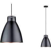 Paulmann One-bulb hanging light Roald