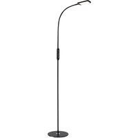 Briloner LED office floor lamp Office Remote, black, dimmable, CCT