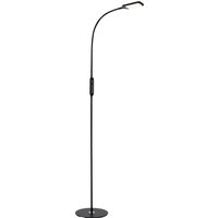 Briloner LED-golvlampa Office Remote, svart, dimbar, CCT