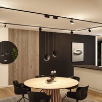 Paulmann URail pendant Alejandro black 3,000 K 3-step dimmable