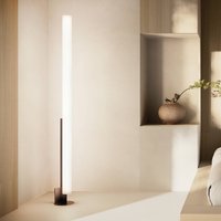 kdln LED floor lamp Model T, black, height 185 cm, dimmer