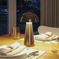 Paulmann Lampe à poser LED rechargeable Onzo, noir, plastique, IP44