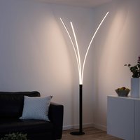 JUST LIGHT. GmbH LED-golvlampa Maja, tre ljuskällor svart