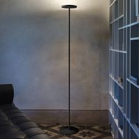 Linea Light Joshua LED floor lamp in black