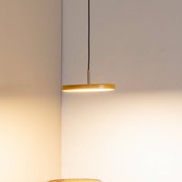 UMAGE Asteria MicroV2 hänglampa dimbar senapsgul