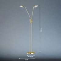 FISCHER & HONSEL LED floor lamp Pool, brass-coloured, height 160 cm, 2-bulb.