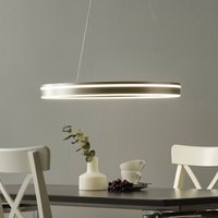 Q-Smart-Home Paul Neuhaus Q-VITO LED hanging lamp 59 cm steel