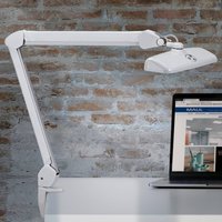 Lampe de travail LED MAULintro, blanche, 52 cm, pied à pince