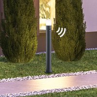Trio Lighting Modern väglampa Hoosic med rörelsesensor