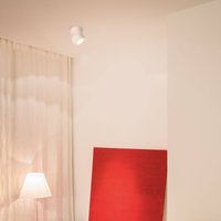 Egger Licht EGG DLS LED downlight Clippo, dimmable to warm, white/gold