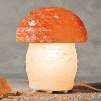 Wagner Life Mushroom salt lamp