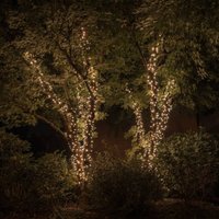 Twinkly RGBW ljusslinga, 250-fl. 20m svart
