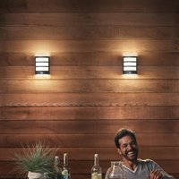 Philips LED outdoor wall light Python UE, anthracite, sensor