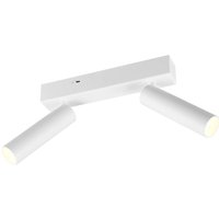 Trio Lighting LED downlight Ambala, 2-bulb, white, metal, CCT, dimmable