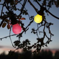 STAR TRADING B22 0,9 W ampoule LED, rouge