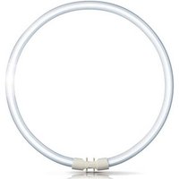 Philips 2GX13 60W 840 fluorescent ring Master TL5