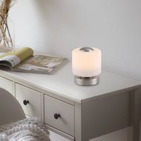 Paul Neuhaus LED table lamp Bota, steel-coloured, glass, dimmable