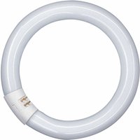 OSRAM G10q 32W 840 Lumilux T9C fluorescent ring