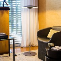 MARSET Ginger P Lampe sur pied LED à intensité variable wengé/blanc