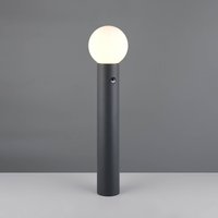 Trio Lighting Mures path light, anthracite, height 80 cm, metal, sensor