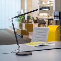 Lampe de table LED MAULgrace, noir, 37 cm, à intensité variable, CCT