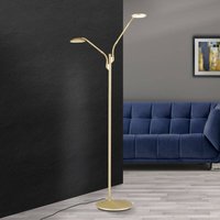 ORION Cobra LED floor lamp, 2-bulb, matt brass