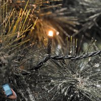 Konstsmide Christmas LED-ljuskedja för utomhusbruk som kan kopplas in via app