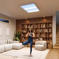 Philips SKYLIGHT LED ceiling lamp, 65 x 45 cm, white, CCT IP44