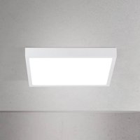 ORION LED-taklampa Disc, vit, längd 24 cm, CCT, metall