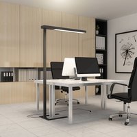 LED office floor lamp Susi, set of 2, , sensor