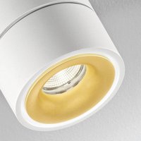 Egger Licht EGG DLS LED spot Clippo Duo, white-gold, 3,000K